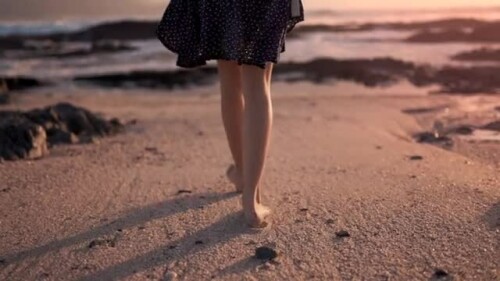 3327058 sd 640 360 24fps