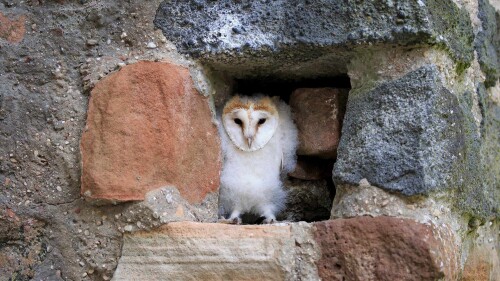 EuleKasselburg 1920x1080