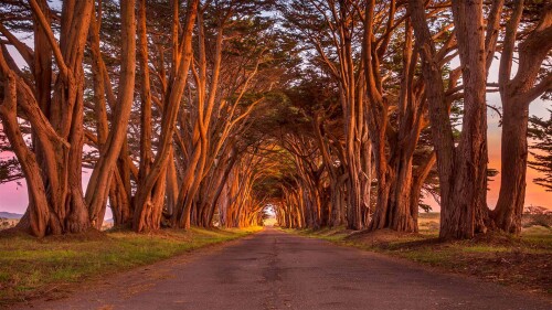 CypressTunnel 1920x1080