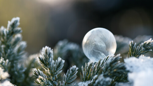 FrozenSoapBubble