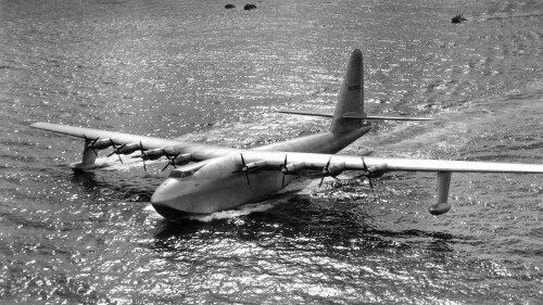 SpruceGoose